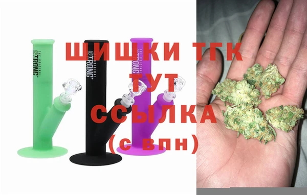 молекула духа Костерёво