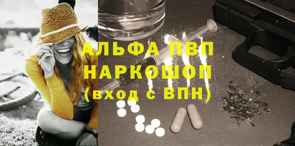 молекула духа Костерёво