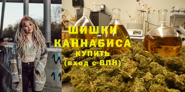 МДПВ Козельск