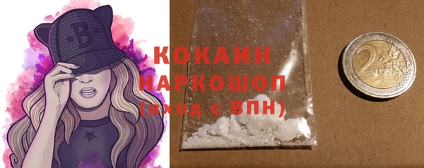 молекула духа Костерёво