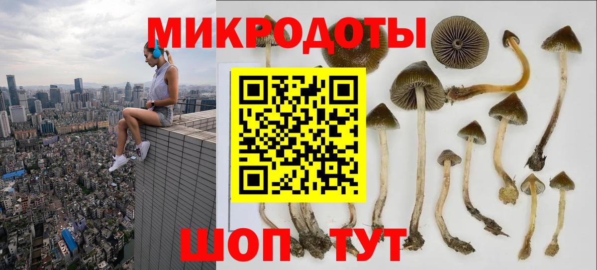 Галлюциногенные грибы GOLDEN TEACHER  Вход с VPN  Михайловск  Псилоцибиновые грибы прущие грибы 